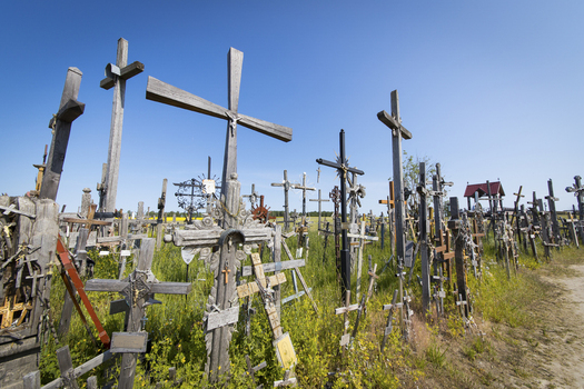 View of the Hill of Crosses with thousands of wooden and metal crucifixes standing on a grassy hill under a clear blue sky Siauliai Siauliu apskritis Lithuania. View of the Hill of Crosses with thousands of wooden and metal crucifixes standing on a grassy hill under a clear blue sky Siauliai Siauliu apskritis Lithuania.