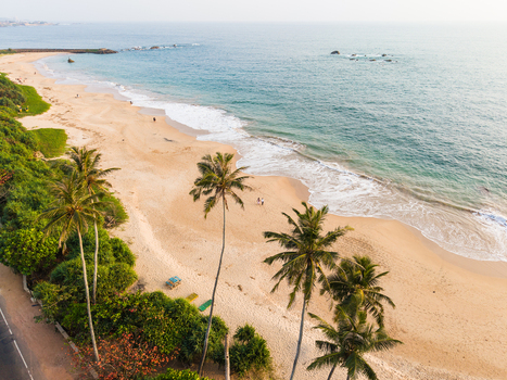 Aerial view of a tropical sandy beach with palm trees turquoise ocean waves and people walking on the sand in Galle Southern Province Sri Lanka.