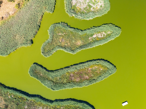 Aerial view of Sosto Salt Lake nature reserve in Szekesfehervar Hungary with wetlands reed beds lake islands and shoreline habitat in a protected freshwater sanctuary.