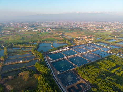 Aerial view of aquaculture ponds and shrimp farms surrounded by lush vegetation and rural landscape with the city of Probolinggo in the background Probolinggo East Java Indonesia.