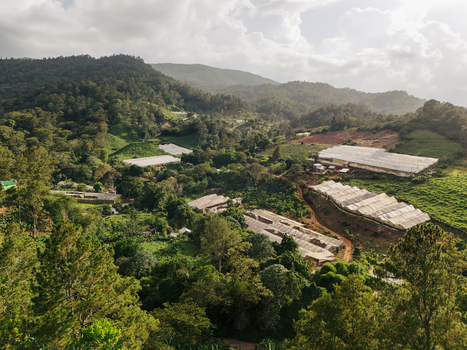 Aerial view of greenhouses nestled in the lush mountainous landscape of Jarabacoa La Vega Province Dominican Republic.