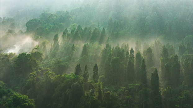 Aerial view of dense tropical forest shrouded in morning mist with sunbeams filtering through the lush green canopy in the highlands of Sukabumi West Java Indonesia. Aerial view of dense tropical forest shrouded in morning mist with sunbeams filtering through the lush green canopy in the highlands of Sukabumi West Java Indonesia.