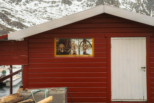 View of a red wooden cabin with stockfish hanging in the window against a backdrop of snow capped mountains Skjelfjorden Norway. View of a red wooden cabin with stockfish hanging in the window against a backdrop of snow capped mountains Skjelfjorden Norway.