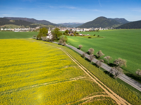 Aerial view of the historic All Saints Church surrounded by vibrant yellow rapeseed fields and green meadows under a clear blue sky in Ludrova Zilina Region Slovakia. Aerial view of the historic All Saints Church surrounded by vibrant yellow rapeseed fields and green meadows under a clear blue sky in Ludrova Zilina Region Slovakia.