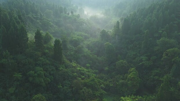 Aerial view of misty tropical forest in Sukabumi Indonesia. Aerial view of misty tropical forest in Sukabumi Indonesia.