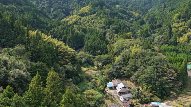 Aerial view of a winding road through the dense forests and mountainous landscape of Shimizu Ward with traditional houses nestled in the valley of Shizuoka Shizuoka Japan. Aerial view of a winding road through the dense forests and mountainous landscape of Shimizu Ward with traditional houses nestled in the valley of Shizuoka Shizuoka Japan.