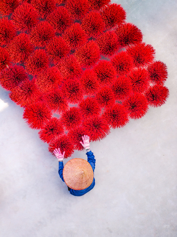 Aerial view of a worker in a traditional conical hat arranging vibrant red incense sticks for drying on a concrete surface in Vietnam. Aerial view of a worker in a traditional conical hat arranging vibrant red incense sticks for drying on a concrete surface in Vietnam.