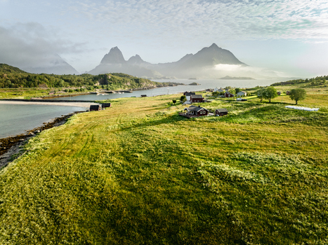 Aerial view of traditional red cabins nestled in a lush green meadow overlooking the calm sea and dramatic mountains in Lofoten Norway.