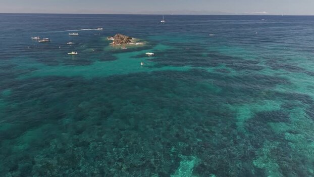 Aerial view of Pomonte coastline and boats Italy.