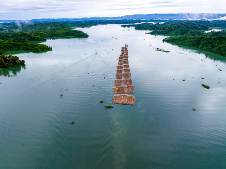 Aerial view of bamboo rafts floating in a long line on Kaptai Lake surrounded by lush green hills under a cloudy sky in Rangamati Chittagong Division Bangladesh. Aerial view of bamboo rafts floating in a long line on Kaptai Lake surrounded by lush green hills under a cloudy sky in Rangamati Chittagong Division Bangladesh.