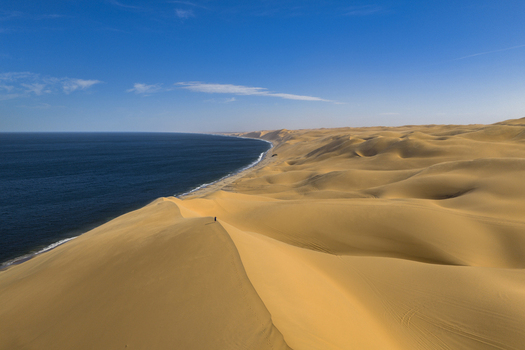 Aerial view of golden dunes meet the deep blue ocean a solitary figure walking along the crest Anichab Erongo Namibia. Aerial view of golden dunes meet the deep blue ocean a solitary figure walking along the crest Anichab Erongo Namibia.