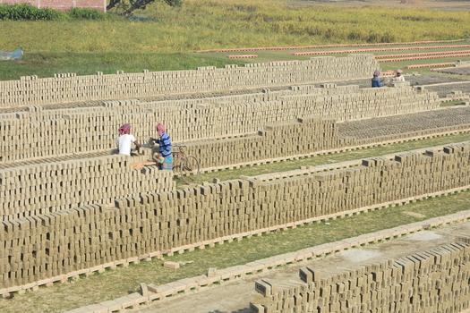 Kushtia District Khulna Division Bangladesh 28 November 2020 View of workers stacking raw clay bricks in long rows at a traditional brick field in a rural landscape. Kushtia District Khulna Division Bangladesh 28 November 2020 View of workers stacking raw clay bricks in long rows at a traditional brick field in a rural landscape.