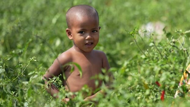 View of a young child in a rural field Bangladesh. View of a young child in a rural field Bangladesh.