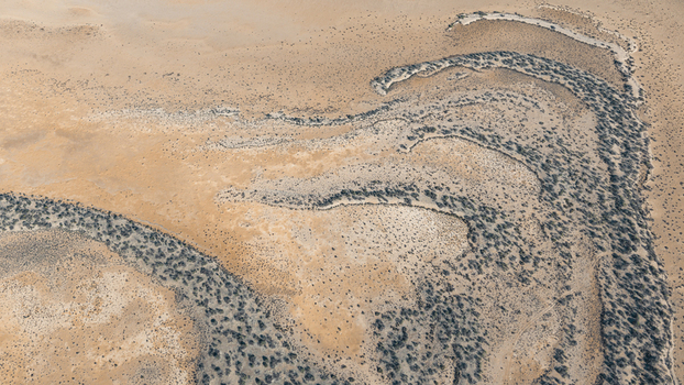 Aerial view of arid desert landscape with intricate patterns of dry vegetation and sandy terrain in Denham Western Australia Australia. Aerial view of arid desert landscape with intricate patterns of dry vegetation and sandy terrain in Denham Western Australia Australia.