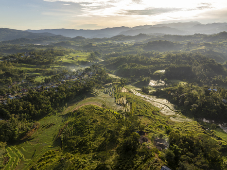 Aerial view of Bangka Kenda rice terraces surrounded by lush green hills and traditional farming landscapes in Wae Rii East Nusa Tenggara Indonesia.