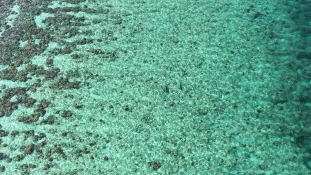 Aerial view of turquoise coral reef in the Maldives. Aerial view of turquoise coral reef in the Maldives.