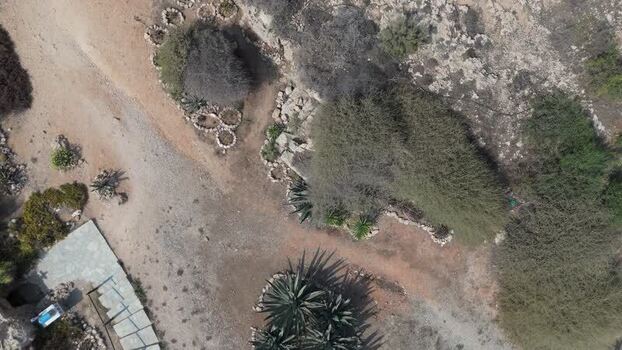 Aerial view of rocky landscape and agave plants Northern Cyprus.