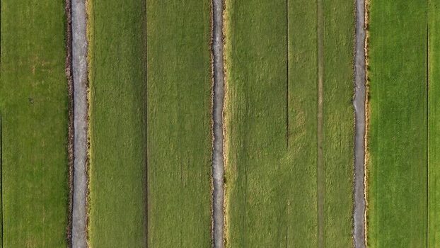 Aerial view of green fields and canals Netherlands.