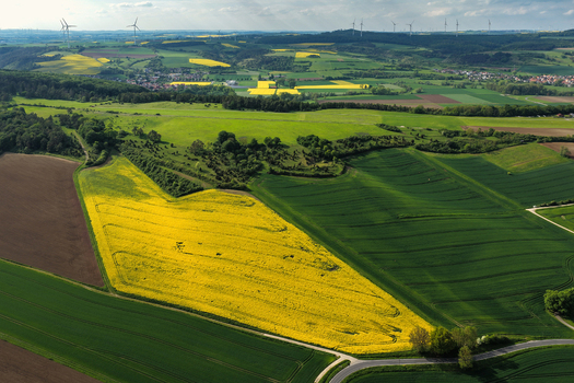 Aerial view of rolling green and yellow rapeseed fields with wind turbines on the horizon in Hofgeismar Hessen Germany. Aerial view of rolling green and yellow rapeseed fields with wind turbines on the horizon in Hofgeismar Hessen Germany.