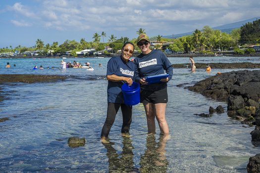 Aerial view of ReefTeach volunteers standing in the shallow water at Kahalu u Beach Park with swimmers in the turquoise bay and volcanic rocks in Kailua Kona Hawaii United States. Aerial view of ReefTeach volunteers standing in the shallow water at Kahalu u Beach Park with swimmers in the turquoise bay and volcanic rocks in Kailua Kona Hawaii United States.