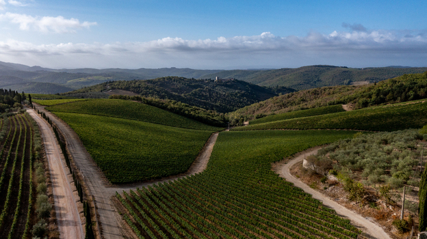 Aerial view of lush green vineyards on rolling hills with dirt roads and cypress trees under a blue sky in Greve in Chianti Tuscany Italy. Aerial view of lush green vineyards on rolling hills with dirt roads and cypress trees under a blue sky in Greve in Chianti Tuscany Italy.