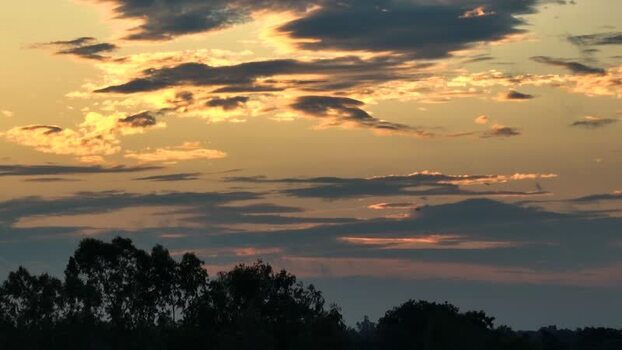 View of golden sunset clouds over tree silhouettes Bangladesh.
