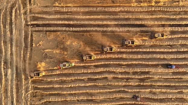 Kadinhani Konya Turkiye 24 September 2026 Aerial view of combine harvesters working in a golden wheat field during harvest season creating patterns in the straw under warm sunlight. Kadinhani Konya Turkiye 24 September 2026 Aerial view of combine harvesters working in a golden wheat field during harvest season creating patterns in the straw under warm sunlight.