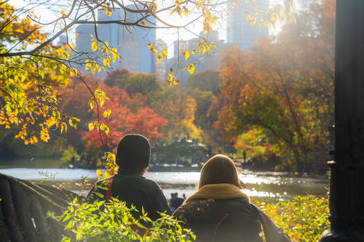 Manhattan United States 08 November 2025 View of autumn s embrace over Central Park a serene lake reflecting the city s skyline beyond vibrant trees. Manhattan United States 08 November 2025 View of autumn s embrace over Central Park a serene lake reflecting the city s skyline beyond vibrant trees.