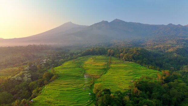 Aerial view of Senaru Rice Fields and misty mountains Indonesia. Aerial view of Senaru Rice Fields and misty mountains Indonesia.