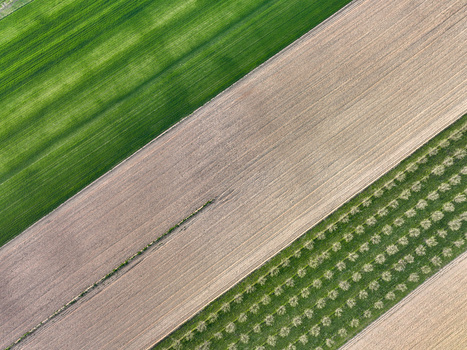 Aerial view of agricultural fields with diagonal patterns of green crops plowed soil and rows of orchards in Borgo d Ale Piedmont Italy.