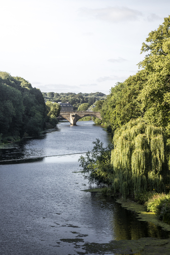 View of the River Wear flowing under a stone arch bridge surrounded by lush green trees and foliage in Durham England United Kingdom. View of the River Wear flowing under a stone arch bridge surrounded by lush green trees and foliage in Durham England United Kingdom.