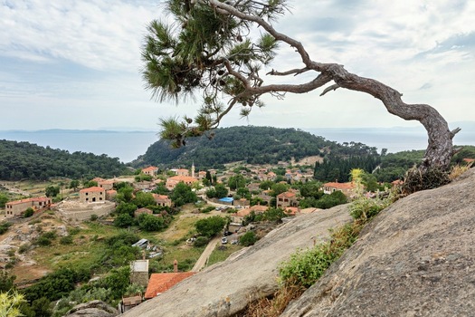 View of Adatepe village nestled among lush greenery and historic stone houses with a prominent pine tree on a rocky foreground overlooking the sea in Adatepe Canakkale Turkey. View of Adatepe village nestled among lush greenery and historic stone houses with a prominent pine tree on a rocky foreground overlooking the sea in Adatepe Canakkale Turkey.