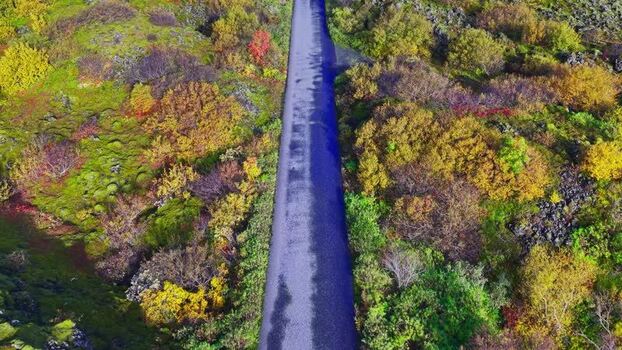 Aerial view of road through autumn colors Iceland. Aerial view of road through autumn colors Iceland.