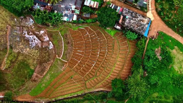 Aerial view of terraced fields Sri Lanka.