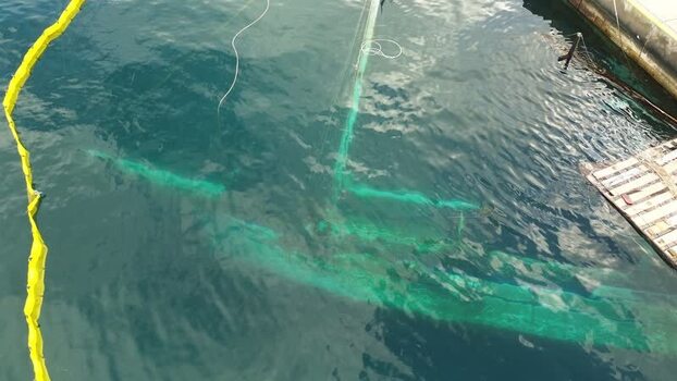 Aerial view of a sunken vessel and oil boom in Valletta Malta.