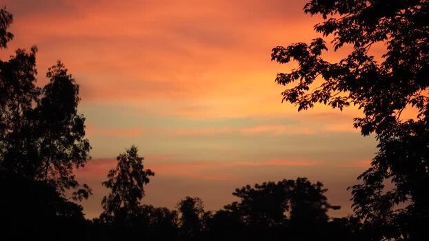View of a vibrant sunset sky over trees Bangladesh. View of a vibrant sunset sky over trees Bangladesh.