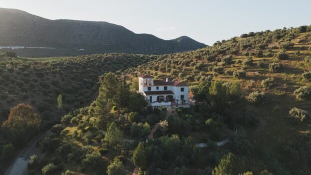 Aerial view of a white villa among olive groves Spain.