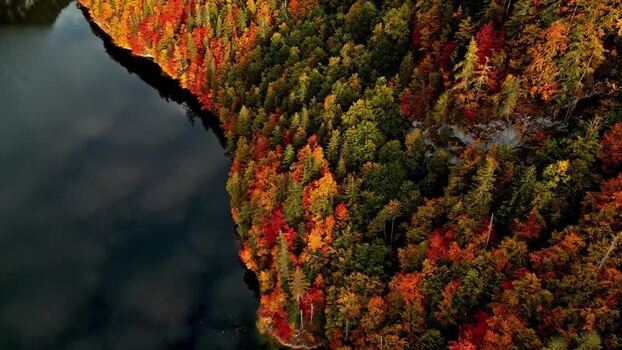 Aerial view of Attersee lake with vibrant autumn foliage Austria.