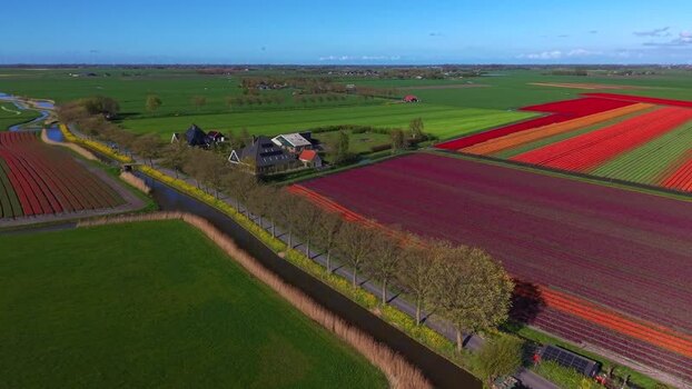 Aerial view of colorful tulip fields and rural landscape Netherlands. Aerial view of colorful tulip fields and rural landscape Netherlands.