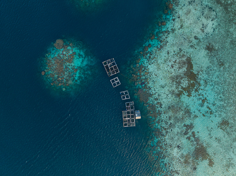 Aerial view of a fish cage floating in the turquoise waters of the ocean near the coral reef in Karimunjawa Jawa Tengah Indonesia. Aerial view of a fish cage floating in the turquoise waters of the ocean near the coral reef in Karimunjawa Jawa Tengah Indonesia.