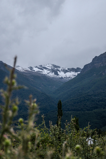 View of Parque Nacional Los Alerces with snow capped peaks dense forests and foreground vegetation under a cloudy sky in Futaleufu Department Chubut Province Argentina. View of Parque Nacional Los Alerces with snow capped peaks dense forests and foreground vegetation under a cloudy sky in Futaleufu Department Chubut Province Argentina.
