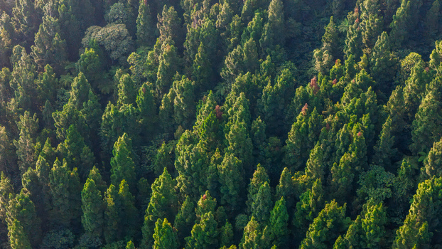 Aerial view of dense evergreen forest with sunlight illuminating the lush green treetops and deep shadows Sukabumi West Java Indonesia. Aerial view of dense evergreen forest with sunlight illuminating the lush green treetops and deep shadows Sukabumi West Java Indonesia.