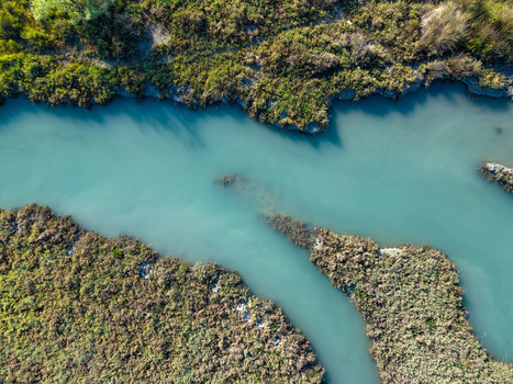 Aerial view of the turquoise waters of Kanali i Vivarit flowing through dense marshy vegetation and green reeds in Vrine Vlore County Albania. Aerial view of the turquoise waters of Kanali i Vivarit flowing through dense marshy vegetation and green reeds in Vrine Vlore County Albania.