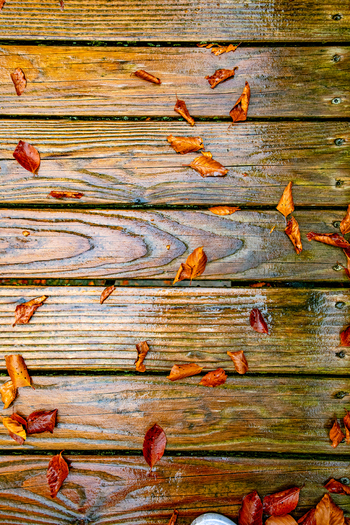 View of wet wooden planks with fallen brown autumn leaves in the Black Forest Offenburg Baden Wurttemberg Germany. View of wet wooden planks with fallen brown autumn leaves in the Black Forest Offenburg Baden Wurttemberg Germany.