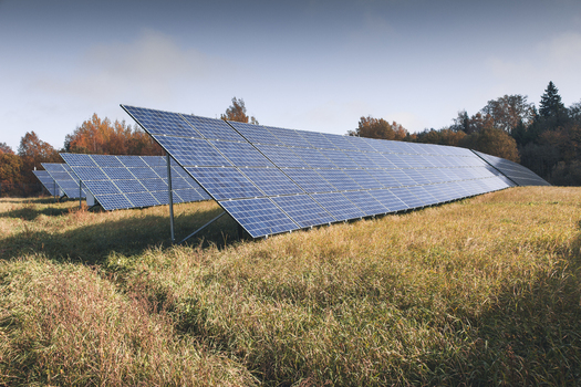 View of solar panels installed in a grassy field surrounded by autumn trees under a clear blue sky in Otepaa Valga County Estonia. View of solar panels installed in a grassy field surrounded by autumn trees under a clear blue sky in Otepaa Valga County Estonia.