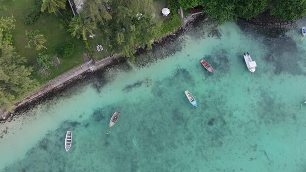 Aerial view of Trou aux Biches Beach in Mauritius.