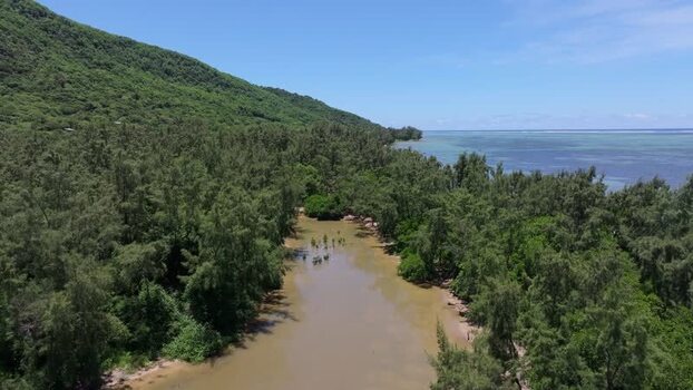 Aerial view of Le Morne landscape with river and forest Mauritius.