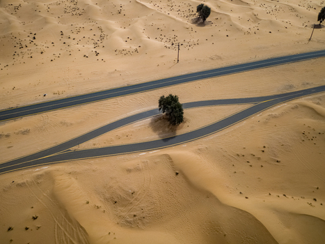 View of an eye shaped road formation surrounding a lone tree amidst vast sand dunes and desert landscape in Dubai Dubai United Arab Emirates. View of an eye shaped road formation surrounding a lone tree amidst vast sand dunes and desert landscape in Dubai Dubai United Arab Emirates.