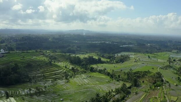 Aerial view of Jatiluwih rice terraces and lush green hills Indonesia.