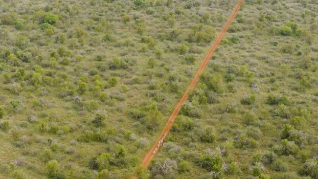 Aerial view of a dirt road in the bushland South Africa.